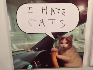 Self loathing at Zach Feuer gallery: the most epic cat art you will ever see by Mark Flood.
