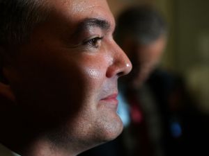WASHINGTON, DC - NOVEMBER 14: Sen. Cory Gardner (R-CO) joins fellow Republicans for a news conference following the weekly GOP policy luncheon in the U.S. Capitol November 14, 2017 in Washington, DC. Senate Republicans are considering including a repeal of the Obamacare individual mandate as part of their proposed tax cut and reform legislation, which they want to pass the week after the Thanksgiving holiday. (Photo by Chip Somodevilla/Getty Images)