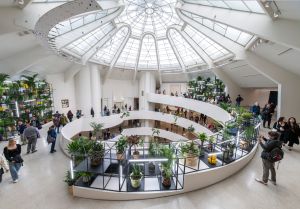 A view looking up through the spiraling interior of the Guggenheim Museum's rotunda, with the glass dome ceiling above and hanging plants and natural materials suspended at various levels throughout the central atrium.